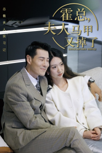 霍总，夫人马甲又掉了封面图